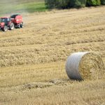 Kompletowanie części do kosiarek – podręcznik dla amatorów i profesjonalistów