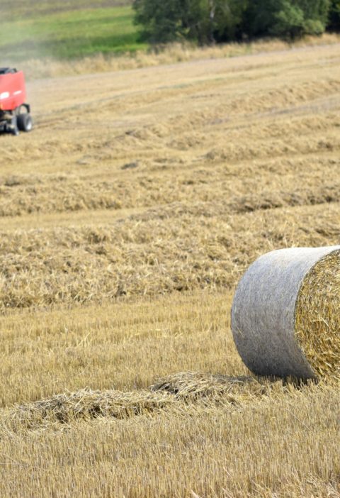 części do agregatu ścierniskowego
